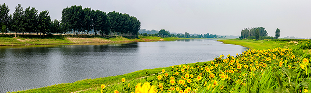 image001.jpg image001.jpg