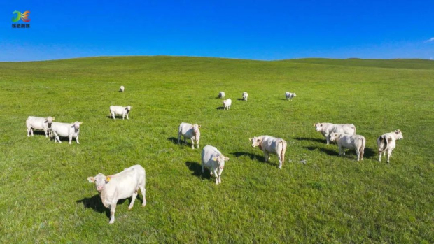 ΢��ͼƬ_20241118085014 (2).jpg