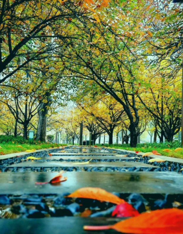 微信图片_20241202091959.jpg 微信图片_20241202091959.jpg